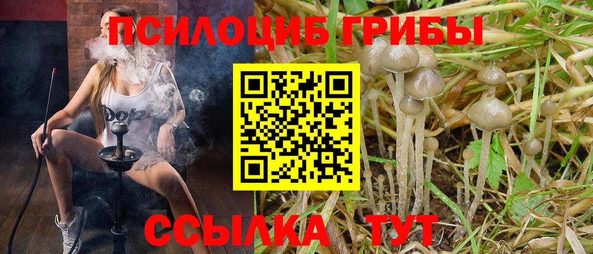Псилоцибиновые грибы GOLDEN TEACHER Мытищи